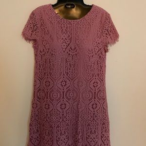 Francesca’s Mauve Knee Length Lace Shift Dress